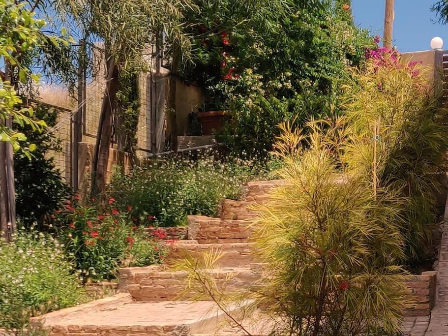 Summer House With A Pool Near Sea, Port & Airport Apartment Rafina  Exterior photo